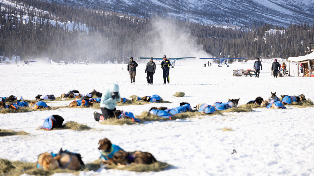 Following the Iditarod: Chasing the Last Great Race into Alaska’s Wild