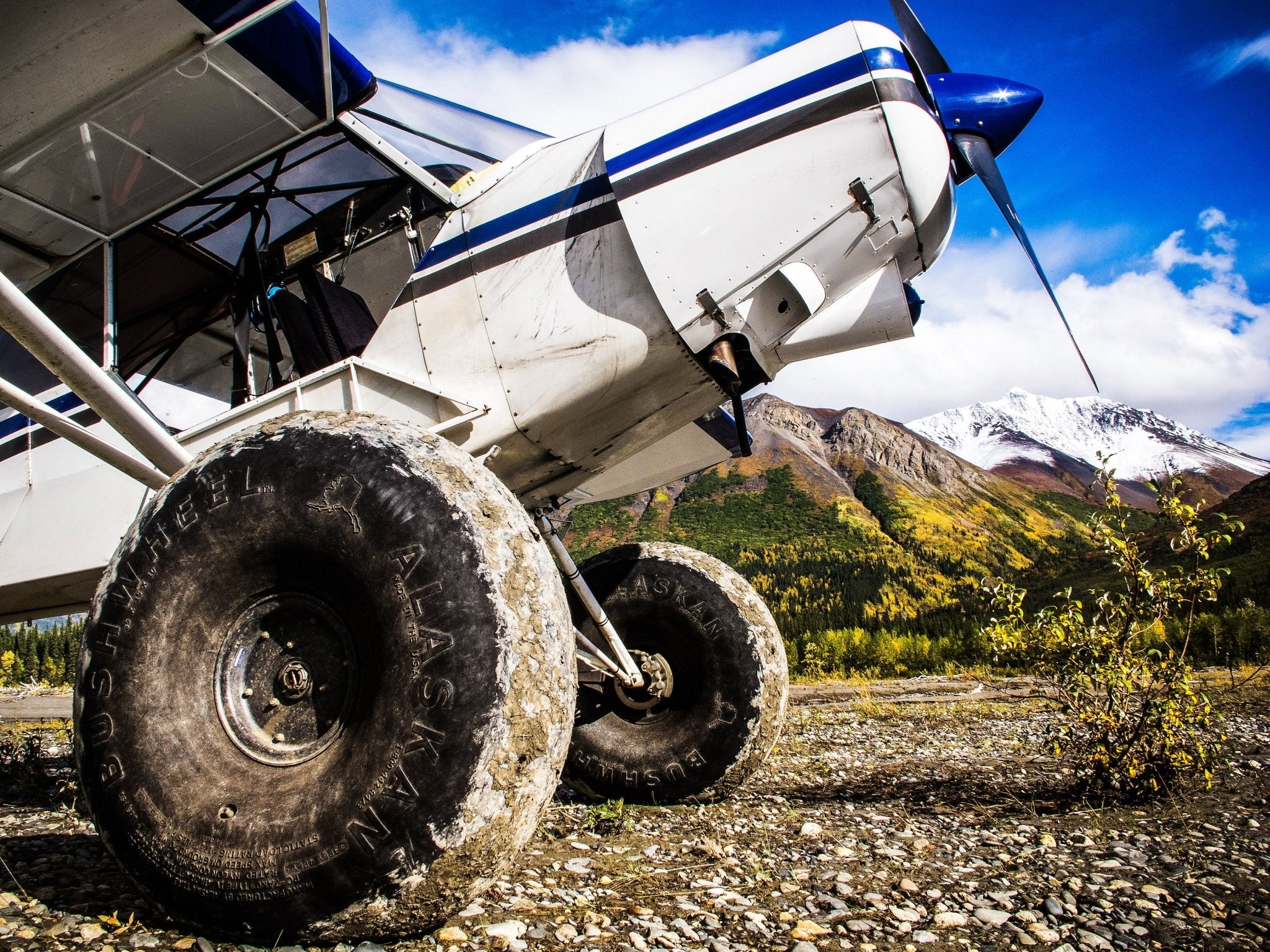 Used Alaskan Bushwheels Buyer's Guide - Alaska Gear Company