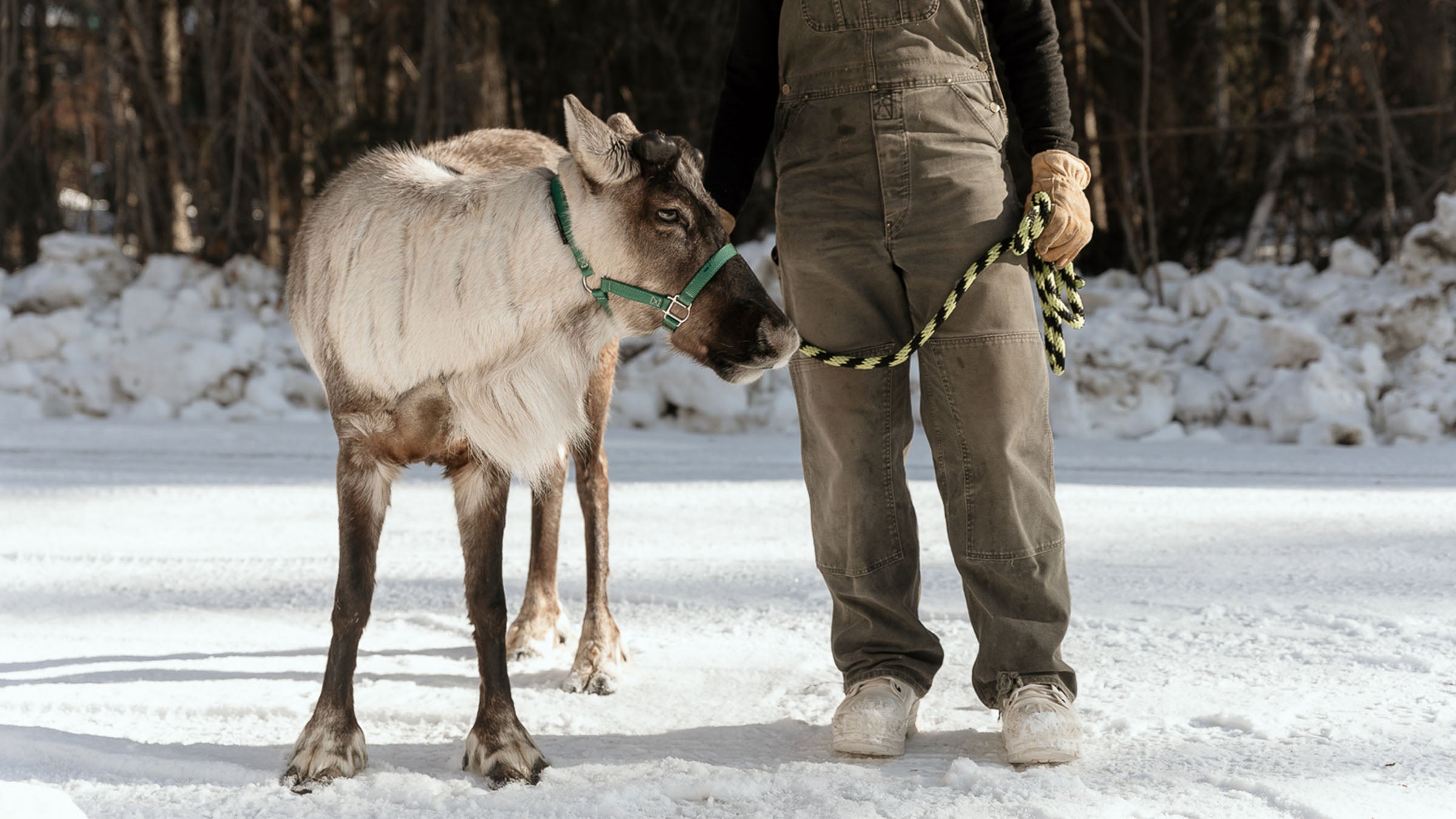 Developing the Warmest Winter Boot