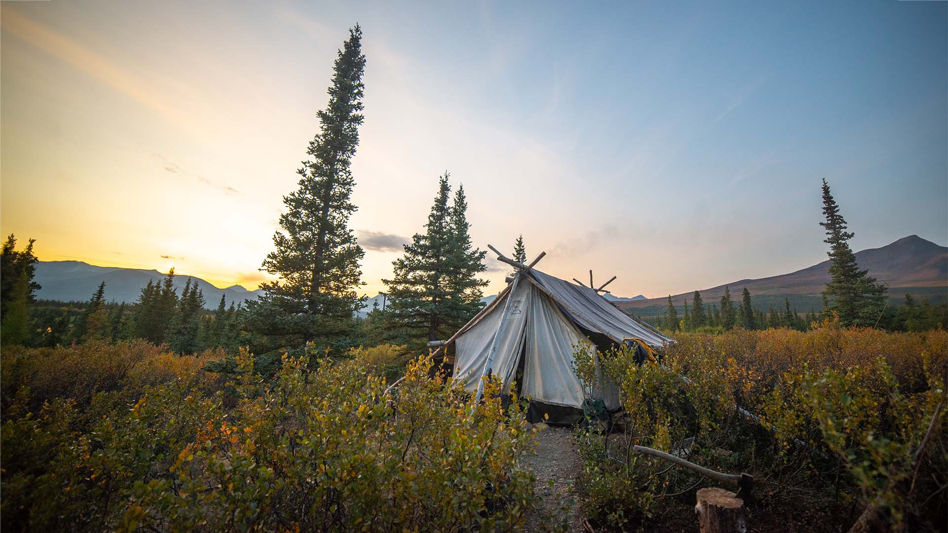 Alaska Legacy Wall Tents