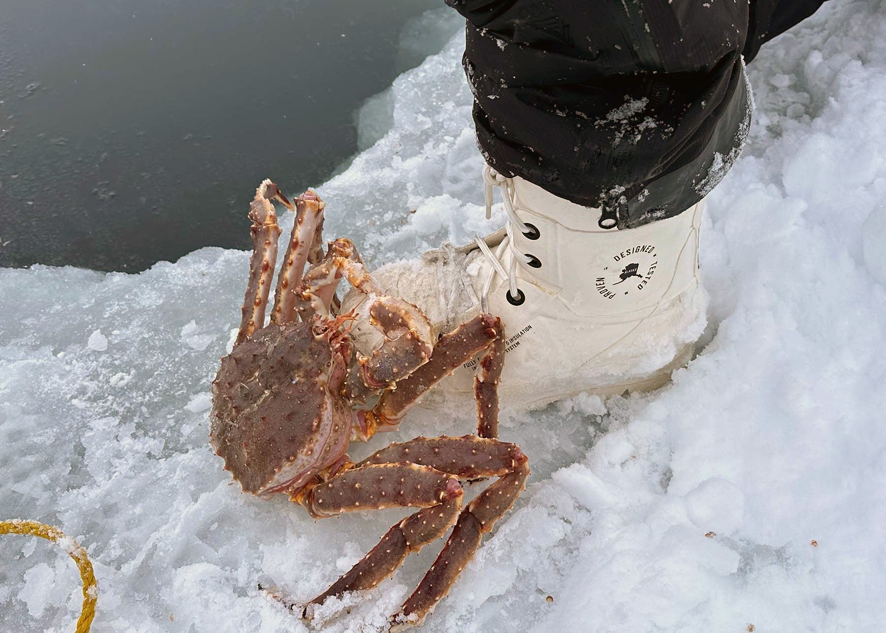 Ice Fishing Boots & Accessories