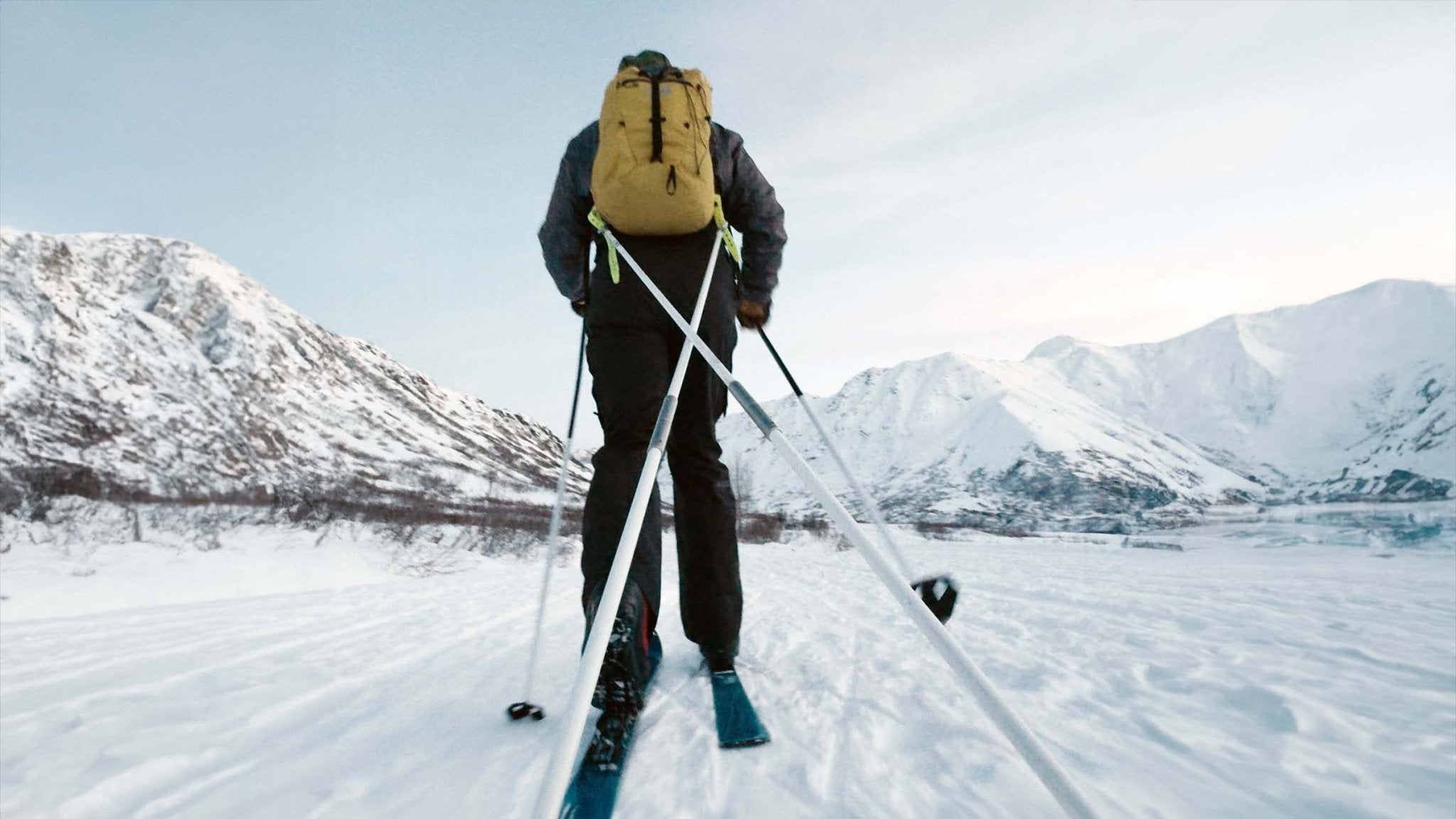 Poles and Harnesses - Alaska Gear Company