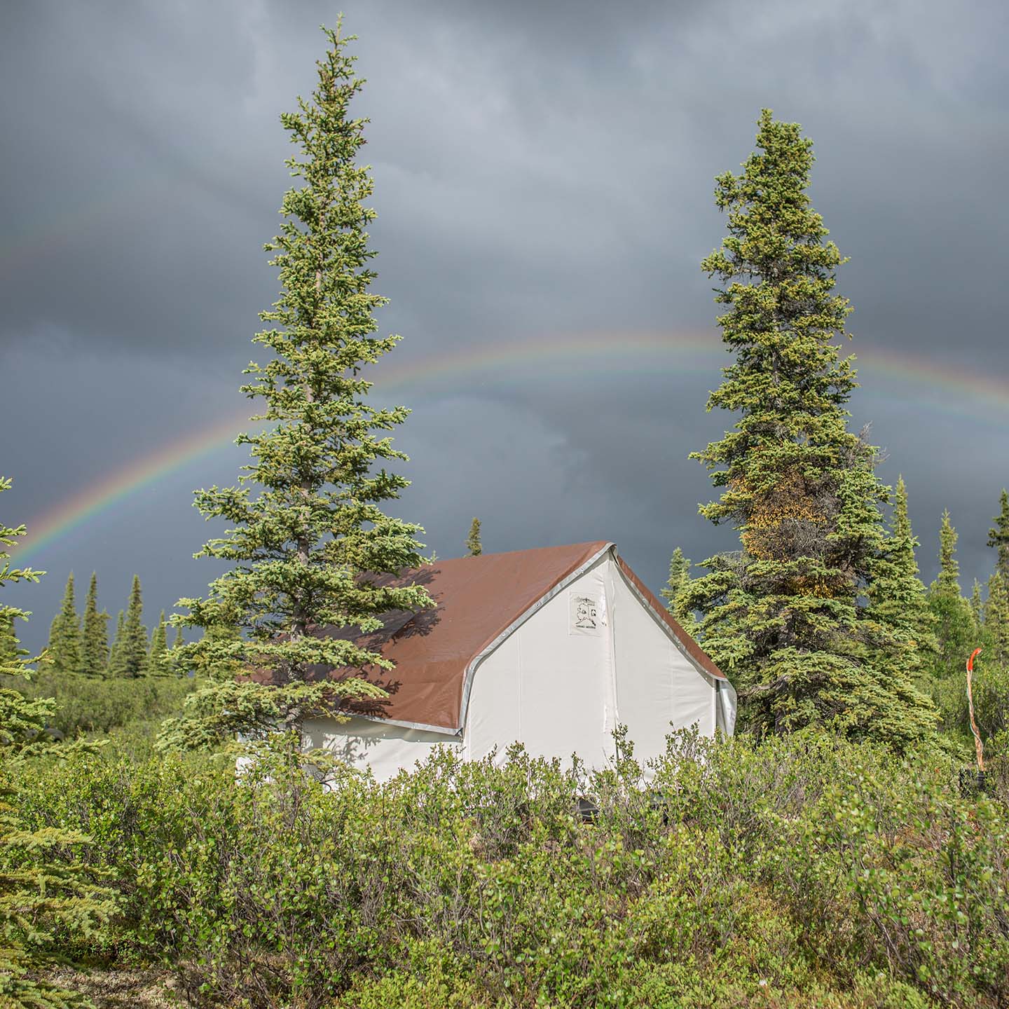 Alaska Wall Tent