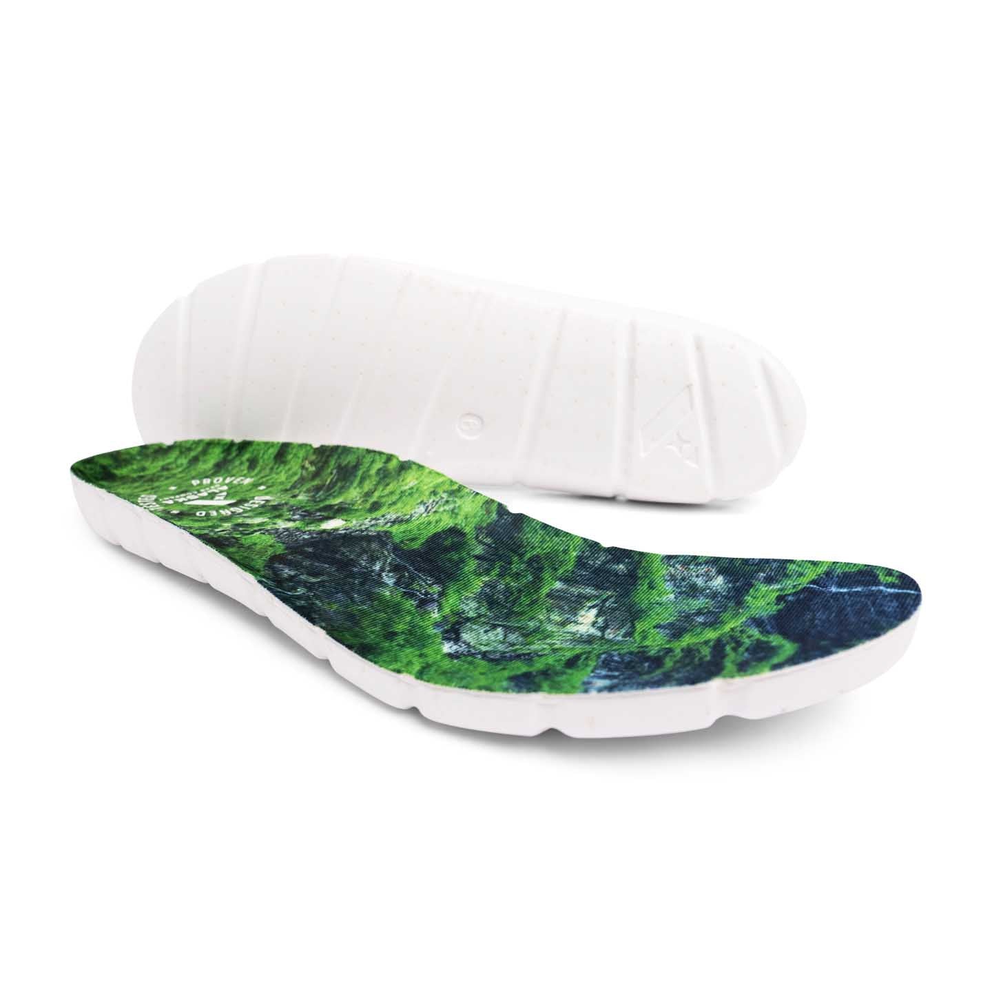#color_alpine-green