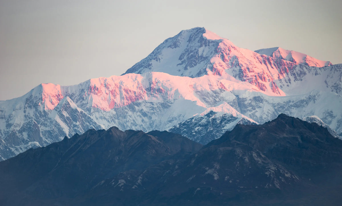 Alpenglow lights the snow-covered summit of Denali pink at sunrise, rising above a dark foreground ridge in Alaska.